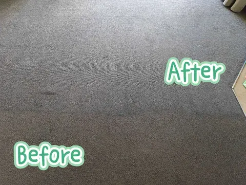 Carpet with a cleaned section beside an uncleaned section